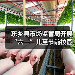 东乡县市场监管局开展“六一”儿童节前校园周边食品安全专项检查(图2) 东乡县市场监管局开展“六一”儿童节前校园周边食品安全专项检查(图2)