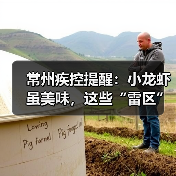 常州疾控提醒：小龙虾虽美味，这些“雷区”千万别踩！（图4）
