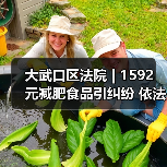 大武口区法院 | 1592 元减肥食品引纠纷 依法判决十倍赔偿(图3) 大武口区法院 | 1592 元减肥食品引纠纷 依法判决十倍赔偿(图3)