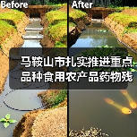 马鞍山市扎实推进重点品种食用农产品药物残留突出问题攻坚治理(图3) 马鞍山市扎实推进重点品种食用农产品药物残留突出问题攻坚治理(图3)