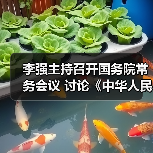 李强主持召开国务院常务会议 讨论《中华人民共和国食品安全法(修正草案)》(图1) 李强主持召开国务院常务会议 讨论《中华人民共和国食品安全法(修正草案)》(图1)