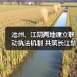 池州、江阴两地建立联动执法机制 共筑长江禁渔销售环节“防护网”(图2) 池州、江阴两地建立联动执法机制 共筑长江禁渔销售环节“防护网”(图2)