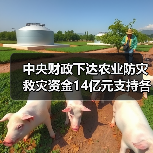 中央财政下达农业防灾救灾资金14亿元支持各地病虫害防控(图2) 中央财政下达农业防灾救灾资金14亿元支持各地病虫害防控(图2)