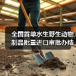 全国首单水生野生动物制品批量进口审批办结(图3) 全国首单水生野生动物制品批量进口审批办结(图3)