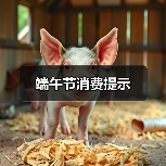 端午节消费提示（图2）