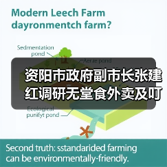 资阳市政府副市长张建红调研无堂食外卖及叮叮集市食品安全工作（图1）