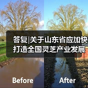 答复|关于山东省应加快打造全国灵芝产业发展高地的建议（图3）