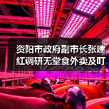 资阳市政府副市长张建红调研无堂食外卖及叮叮集市食品安全工作（图3）