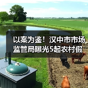 以案为鉴!汉中市市场监管局曝光5起农村假冒伪劣食品专项整治典型案例(第一批)(图2) 以案为鉴!汉中市市场监管局曝光5起农村假冒伪劣食品专项整治典型案例(第一批)(图2)