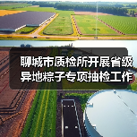 聊城市质检所开展省级异地粽子专项抽检工作筑牢食品安全防线(图3) 聊城市质检所开展省级异地粽子专项抽检工作筑牢食品安全防线(图3)
