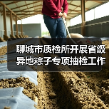 聊城市质检所开展省级异地粽子专项抽检工作筑牢食品安全防线(图4) 聊城市质检所开展省级异地粽子专项抽检工作筑牢食品安全防线(图4)