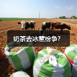 奶茶去冰惹纷争?(图2) 奶茶去冰惹纷争?(图2)