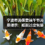 宁波市消保委端午节消费提示：抵制过度包装，倡导绿色消费（图3）