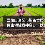 西藏自治区市场监管局民生领域案件查办“铁拳”行动典型案例(第一批)(图3) 西藏自治区市场监管局民生领域案件查办“铁拳”行动典型案例(第一批)(图3)
