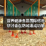 营养健康食品国际标准研讨会在防城港成功举办（图2）