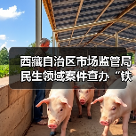 西藏自治区市场监管局民生领域案件查办“铁拳”行动典型案例(第一批)(图4) 西藏自治区市场监管局民生领域案件查办“铁拳”行动典型案例(第一批)(图4)