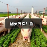 幽灵外卖?查!(图4) 幽灵外卖?查!(图4)