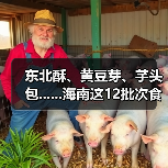 东北酥、黄豆芽、芋头包......海南这12批次食品抽检不合格（图4）