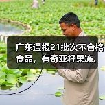 广东通报21批次不合格食品,有奇亚籽果冻、竹节虾、豆芽等(图4) 广东通报21批次不合格食品,有奇亚籽果冻、竹节虾、豆芽等(图4)