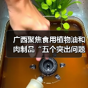广西聚焦食用植物油和肉制品“五个突出问题”发力整治（图4）