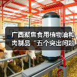 广西聚焦食用植物油和肉制品“五个突出问题”发力整治（图3）