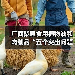 广西聚焦食用植物油和肉制品“五个突出问题”发力整治（图1）