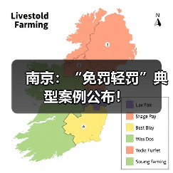 南京：“免罚轻罚”典型案例公布！（图1）