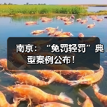 南京：“免罚轻罚”典型案例公布！（图3）