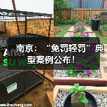南京：“免罚轻罚”典型案例公布！（图4）