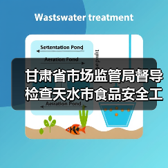 甘肃省市场监管局督导检查天水市食品安全工作(图4) 甘肃省市场监管局督导检查天水市食品安全工作(图4)