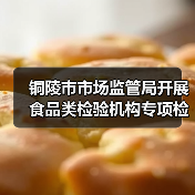 铜陵市市场监管局开展食品类检验机构专项检查(图2) 铜陵市市场监管局开展食品类检验机构专项检查(图2)