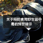 关于预防食用野生菌中毒的预警提示(图1) 关于预防食用野生菌中毒的预警提示(图1)