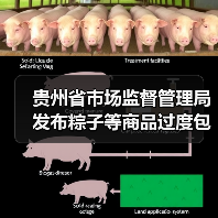 贵州省市场监督管理局发布粽子等商品过度包装典型案例(图1) 贵州省市场监督管理局发布粽子等商品过度包装典型案例(图1)