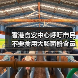 香港食安中心呼吁市民不要食用大肠菌群含量超出法例上限的雪糕(图2) 香港食安中心呼吁市民不要食用大肠菌群含量超出法例上限的雪糕(图2)