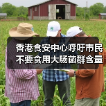 香港食安中心呼吁市民不要食用大肠菌群含量超出法例上限的雪糕(图1) 香港食安中心呼吁市民不要食用大肠菌群含量超出法例上限的雪糕(图1)