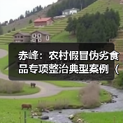 赤峰:农村假冒伪劣食品专项整治典型案例(第一批)(图2) 赤峰:农村假冒伪劣食品专项整治典型案例(第一批)(图2)