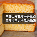 马鞍山市扎实推进重点品种食用农产品药物残留突出问题攻坚治理（图4）
