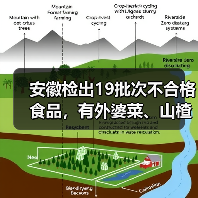 安徽检出19批次不合格食品,有外婆菜、山楂干、砂糖橘等(图3) 安徽检出19批次不合格食品,有外婆菜、山楂干、砂糖橘等(图3)