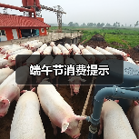 端午节消费提示(图4) 端午节消费提示(图4)