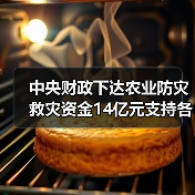 中央财政下达农业防灾救灾资金14亿元支持各地病虫害防控(图2) 中央财政下达农业防灾救灾资金14亿元支持各地病虫害防控(图2)