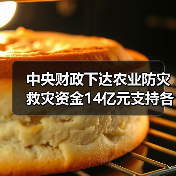 中央财政下达农业防灾救灾资金14亿元支持各地病虫害防控(图4) 中央财政下达农业防灾救灾资金14亿元支持各地病虫害防控(图4)