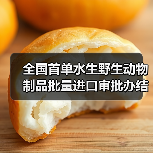 全国首单水生野生动物制品批量进口审批办结(图3) 全国首单水生野生动物制品批量进口审批办结(图3)