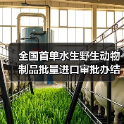 全国首单水生野生动物制品批量进口审批办结(图4) 全国首单水生野生动物制品批量进口审批办结(图4)