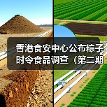香港食安中心公布粽子时令食品调查(第二期)结果(图2) 香港食安中心公布粽子时令食品调查(第二期)结果(图2)