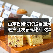 山东省如何打造全国灵芝产业发展高地?政策支持与产业机遇分析(图3) 山东省如何打造全国灵芝产业发展高地?政策支持与产业机遇分析(图3)
