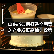 山东省如何打造全国灵芝产业发展高地?政策支持与产业机遇分析(图2) 山东省如何打造全国灵芝产业发展高地?政策支持与产业机遇分析(图2)