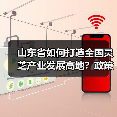 山东省如何打造全国灵芝产业发展高地?政策支持与产业机遇分析(图4) 山东省如何打造全国灵芝产业发展高地?政策支持与产业机遇分析(图4)