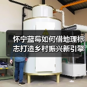 怀宁蓝莓如何借地理标志打造乡村振兴新引擎（图3）