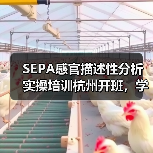 SEPA感官描述性分析实操培训杭州开班,学员深度参与产品检验(图1) SEPA感官描述性分析实操培训杭州开班,学员深度参与产品检验(图1)
