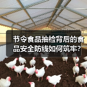 节令食品抽检背后的食品安全防线如何筑牢?(图3) 节令食品抽检背后的食品安全防线如何筑牢?(图3)